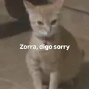 Sorry