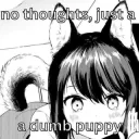 /ZxxUDwECTM puppy-brained