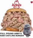 Arbys Burger