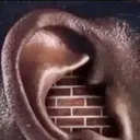 Ears:blocked