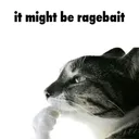Ragebait 