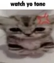 Watch Yo Tone