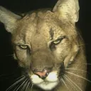 Lukasz face reveal