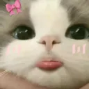 مياو