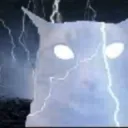 Gato 2