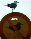 aura.