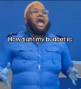 Budget