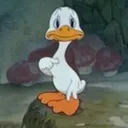 yo?
