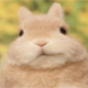 smirk bunny  mochis