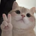 one selfie plzzz