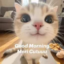 Good morning 