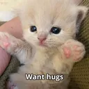 want hugs