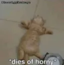 hornydie