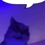 wobblycatsays