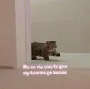 kisshomiesgn