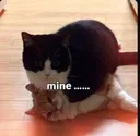 mine
