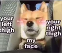 facethighs