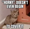 hornydoesntcoverit