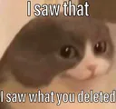 sawthatcat