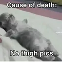 nothighsdie