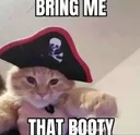 bootycat
