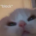 blockcat