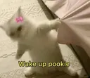 wakeup
