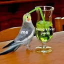bratjuice