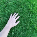 Touch grass