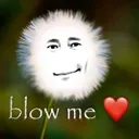 Blowit