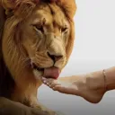Feetlicker 