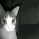 Ke