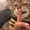 Shhhhh gatita 