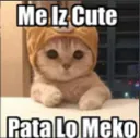 Me iz cute 