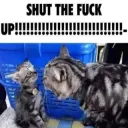 SHUT UP