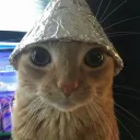 Conspiracy cat