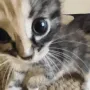 I see you