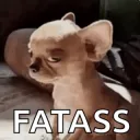 fatass