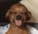 Blehhhhh
