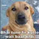 Kutto wali baat