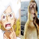 Uhhhh /voyage