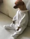 dawgsit