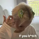 FuBihh