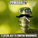 powiadasz