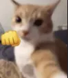 grr