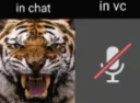 VC