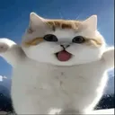 sunshine and rainbows aah cat