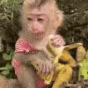 eating
