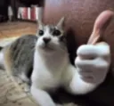 ThumbsUp
