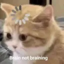 ..